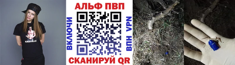Alfa_PVP СК КРИС  Томмот 