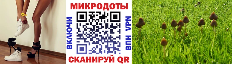 закладки  Томмот  Галлюциногенные грибы Magic Shrooms 